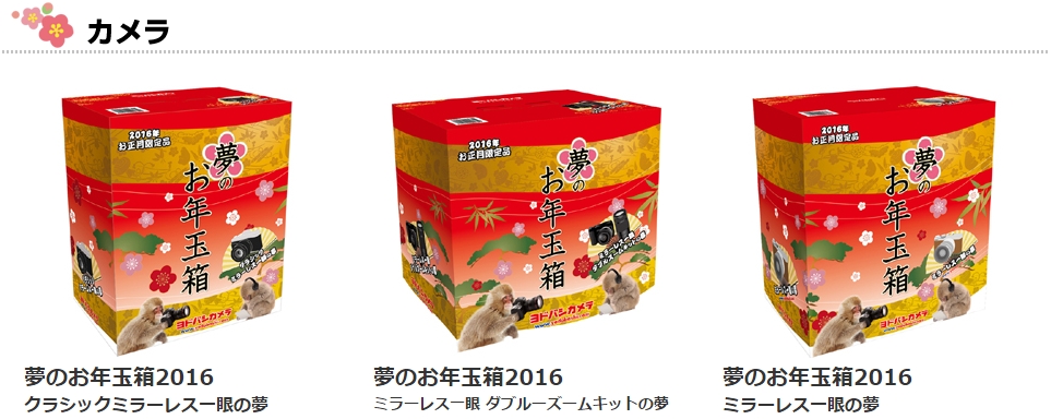 ヨドバシ福袋攻略 16年 ヨドバシカメラ福袋再販売決定の徹底攻略法 あすたまいず